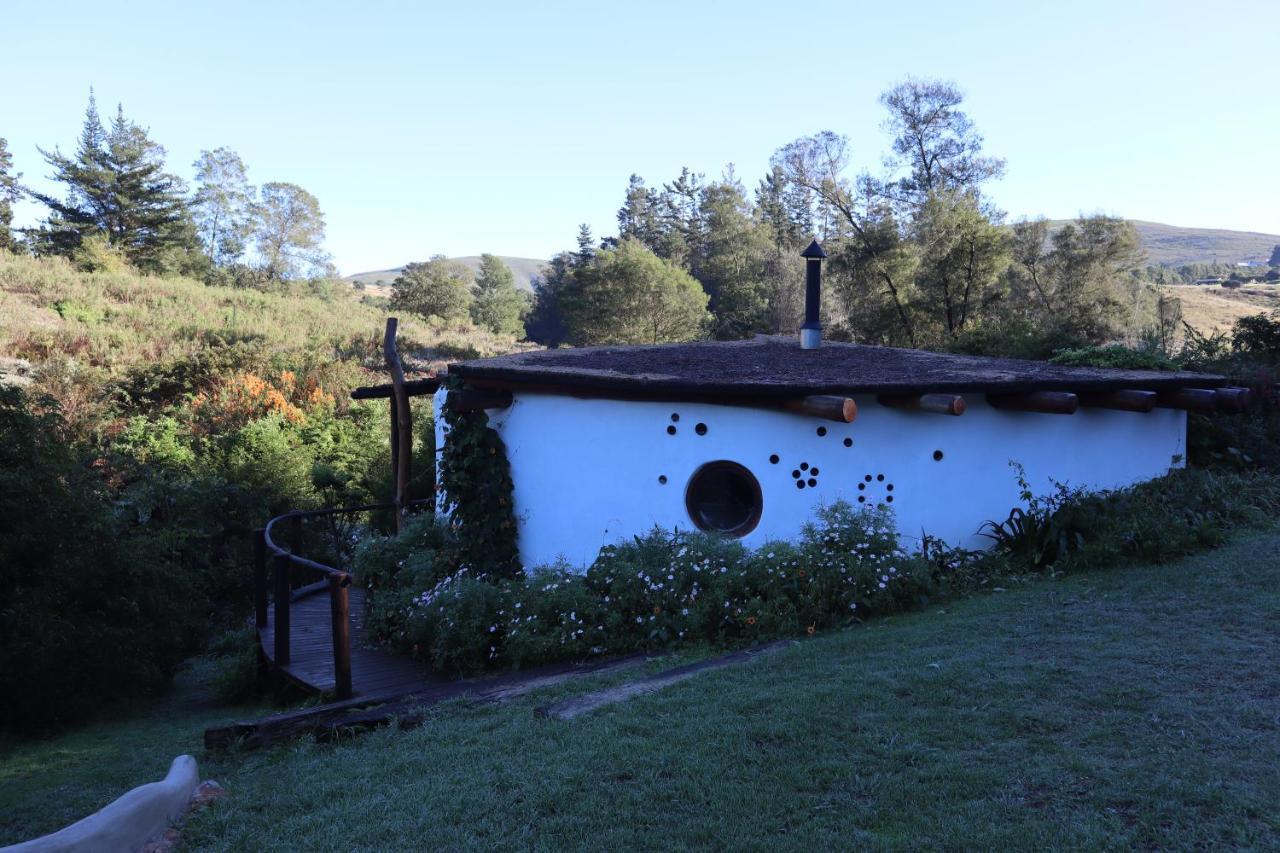 Half Moon Hollow Eco Cottage Mossel Bay Exteriör bild