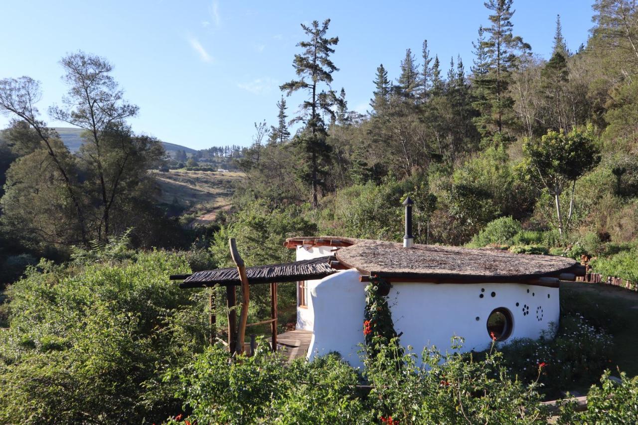 Half Moon Hollow Eco Cottage Mossel Bay Exteriör bild