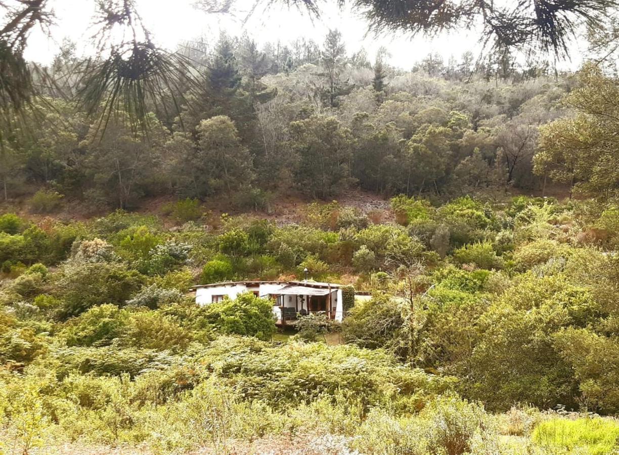 Half Moon Hollow Eco Cottage Mossel Bay Exteriör bild